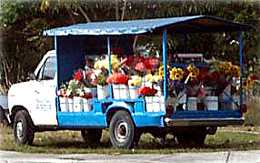 Flower wagon