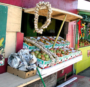 Fresh Citru Fruits