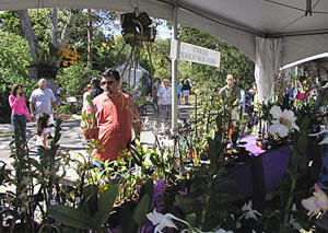 Jorge buying orchids