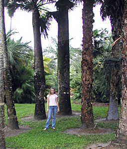 Girl in palm grove