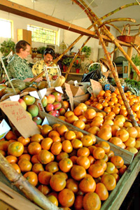 Glenn and Jorge at the Fruit Market
