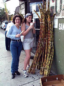 Fresh cane is stacked up outside.